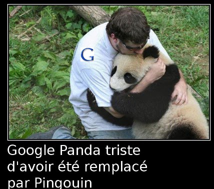 google pingouin et panda